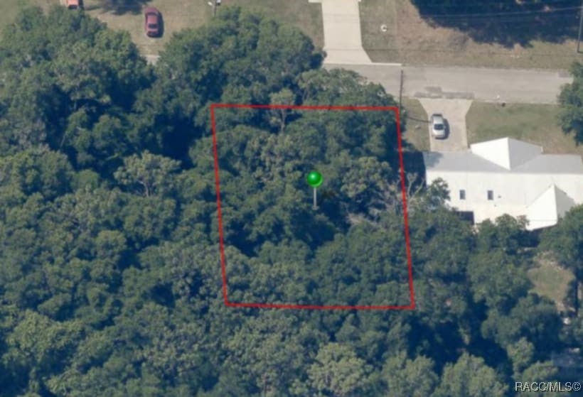 204 Adelphi Street, Inverness, Florida image 8
