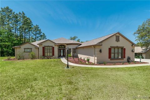 3428 N Bravo Drive Beverly Hills FL 34465