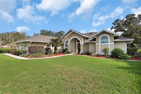 705 E Dakota Court Hernando FL 34442