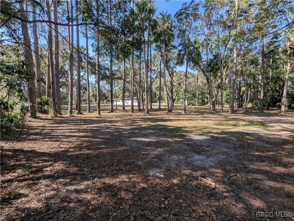 601 NE 11th Street, Crystal River, Florida image 26