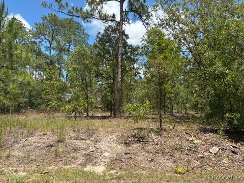 Vacant Land For Sale - TBD SW Southview Court<br/> Dunnellon, FL 34431