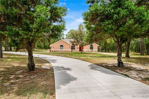 4864 N Cheyenne Drive Beverly Hills FL 34465