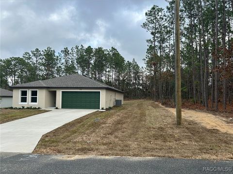 A home in Citrus Springs