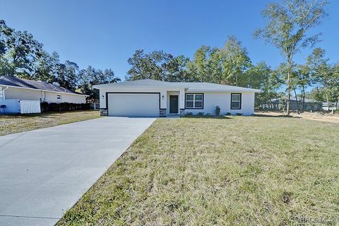 A home in Citrus Springs