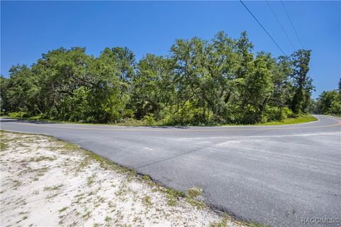 Vacant Land For Sale - 105 NE 239 Avenue<br/> Old Town, FL 32680