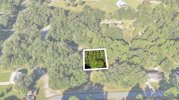 8591 N SAN FILIPPO LOOP, CRYSTAL RIVER, FL 34428 - Image 440a07ef1d4a9f06600aae24778987bc/3180361691