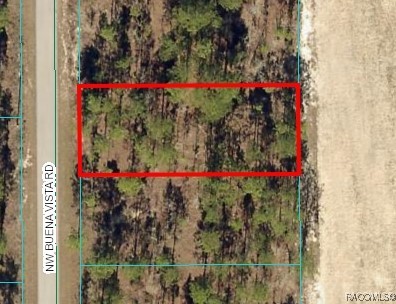 NW Buena Vista Road, Dunnellon, Florida image 2