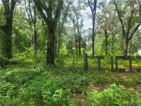 Vacant Land For Sale - 10837 SW 153rd Lane<br/> Dunnellon, FL 34432