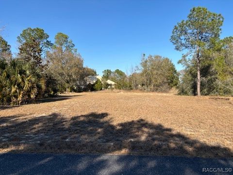 3178 N Barton Creek Circle Lecanto FL 34461