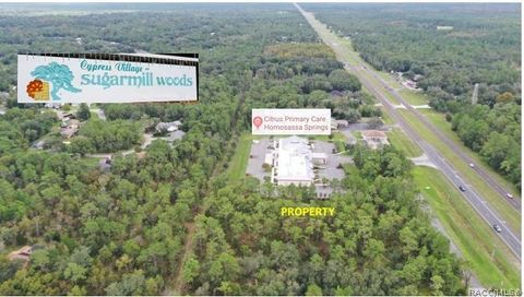 Vacant Land For Sale - 7929 S Suncoast Boulevard<br/> Homosassa, FL 34446