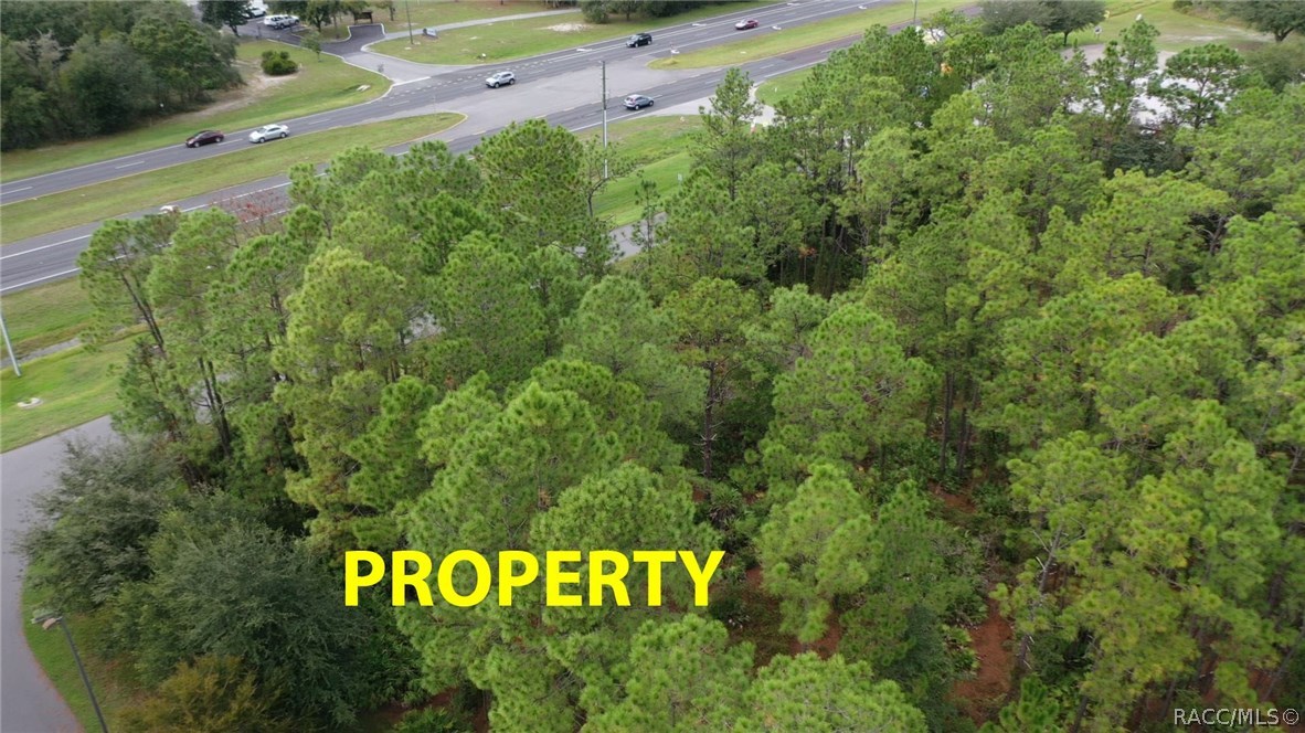 7929 S Suncoast Boulevard, Homosassa, Florida image 4