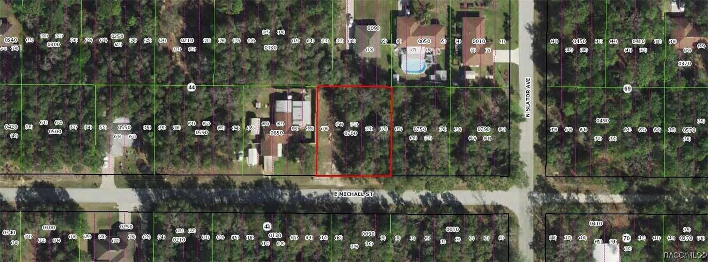 3125 E Michael Street, Inverness, Florida image 1