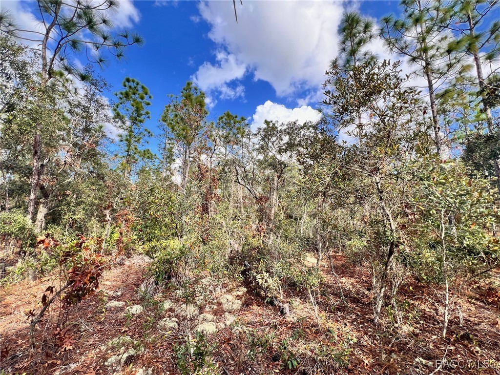 6328 W Pine Ridge Boulevard, Beverly Hills, Florida image 8