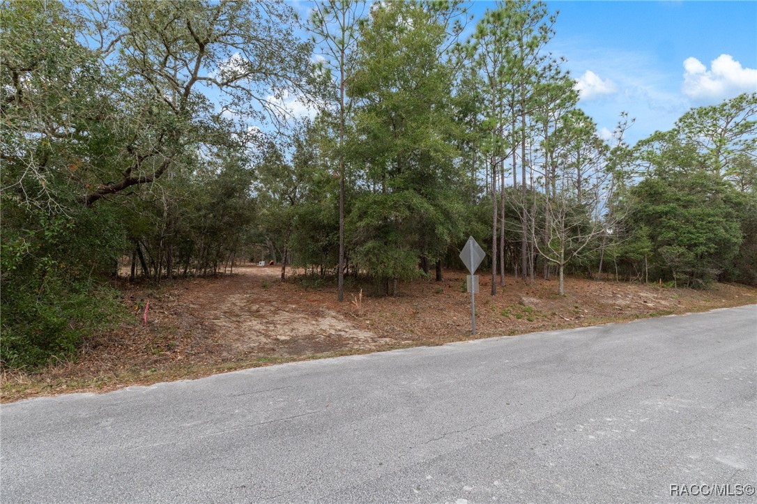 SW 206th Avenue, Dunnellon, Florida image 3