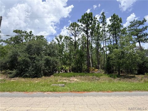 Vacant Land For Sale - 6455 W Conestoga Street<br/> Beverly Hills, FL 34465