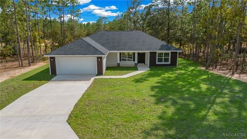2894 W Rutland Drive Citrus Springs FL 34433