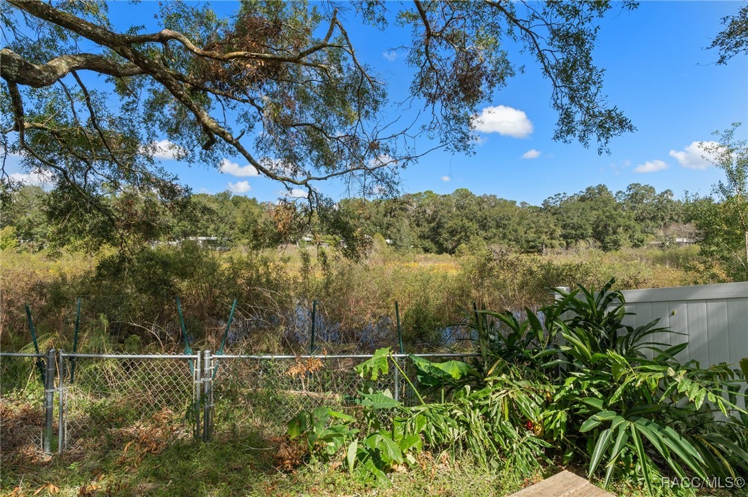 8059 E Southlake Drive, Floral City, Florida image 34