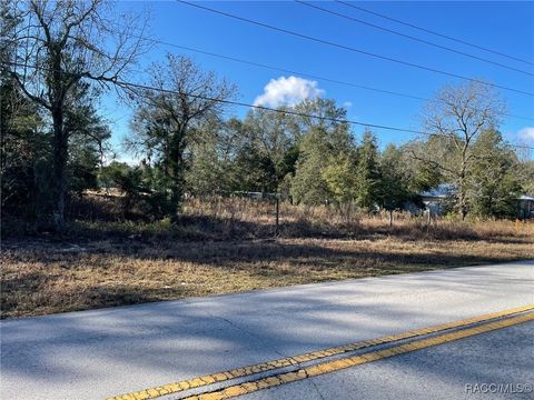 Vacant Land For Sale - LOT 22 SW Rainbow Lakes Boulevard<br/> Dunnellon, FL 34431