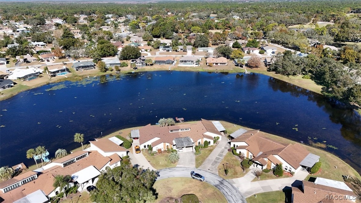 9147 Lingrove Road, Spring Hill, Florida image 7