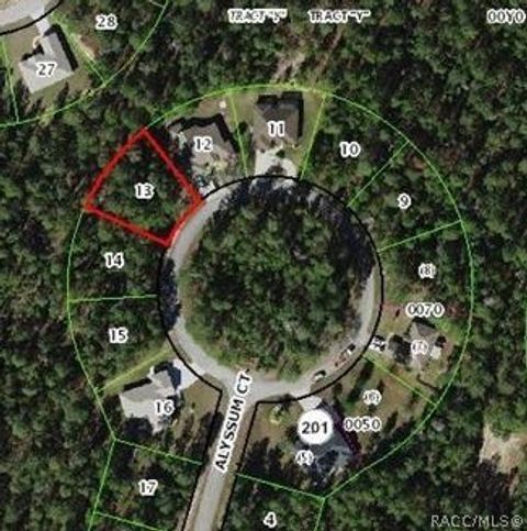Vacant Land For Sale - 15 Alyssum Court<br/> Homosassa, FL 34446