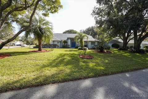 29 Linder Circle Homosassa FL 34446