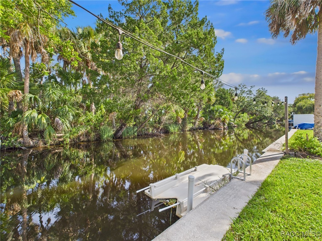 10125 W Halls River Road