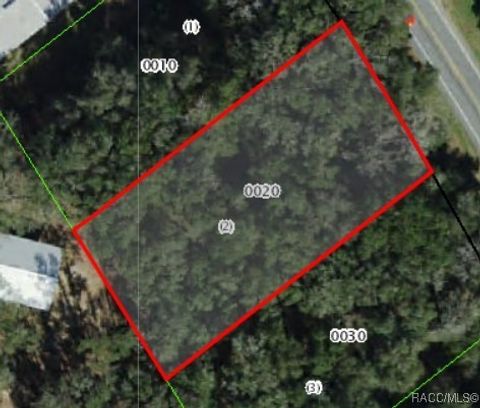 Vacant Land For Sale - 5556 N Florida Avenue<br/> Hernando, FL 34442