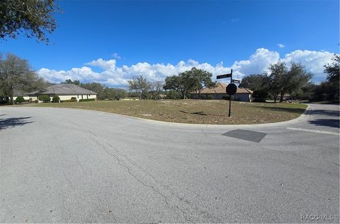 2608 N Carnoustie Loop Lecanto FL 34461
