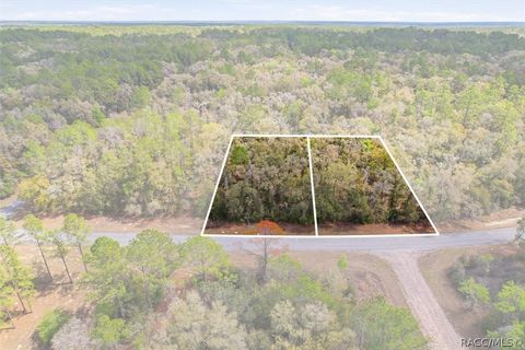 Vacant Land For Sale - 8969 N Alameda Drive<br/> Dunnellon, FL 34434