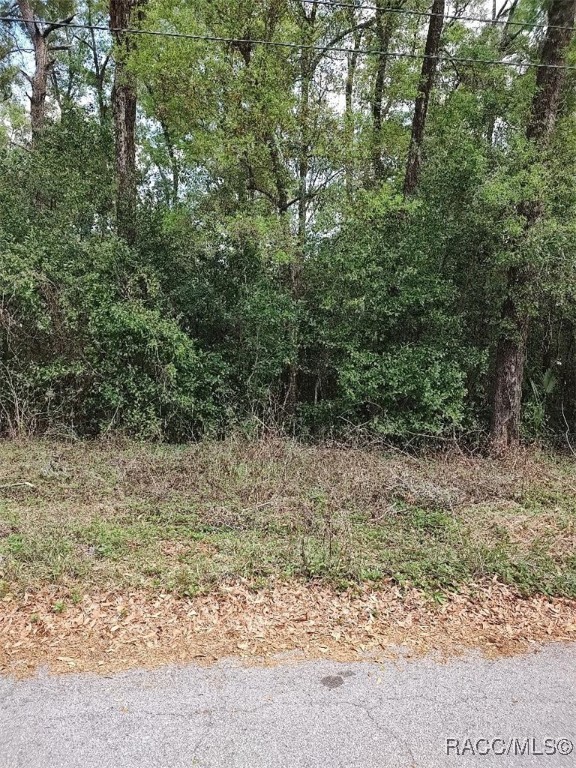 3665 S Diamond Avenue, Inverness, Florida image 1