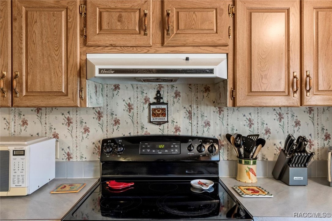 5550 S Coral Bells Avenue, Homosassa, Florida image 13