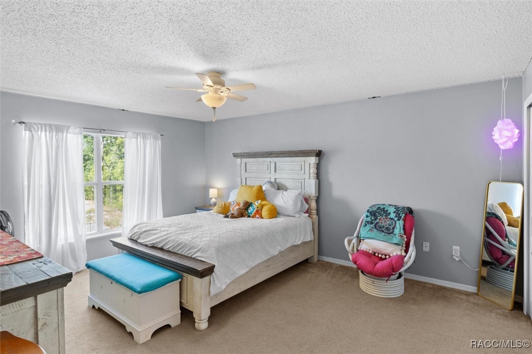 2541 W Castle Road, Citrus Springs, New York image 34
