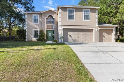2541 W Castle Road Citrus Springs FL 34434