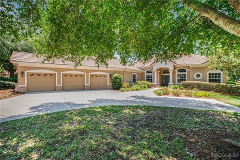 1993 N Eagle Chase Drive Hernando FL 34442