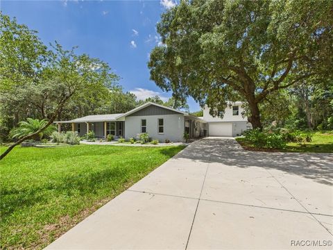 Homes For Sale - 1020 N Ottawa Avenue<br/> Lecanto, FL 34461
