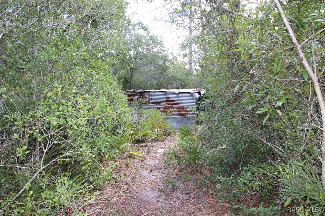 5235 W Gail Lane, Dunnellon, New York image 24