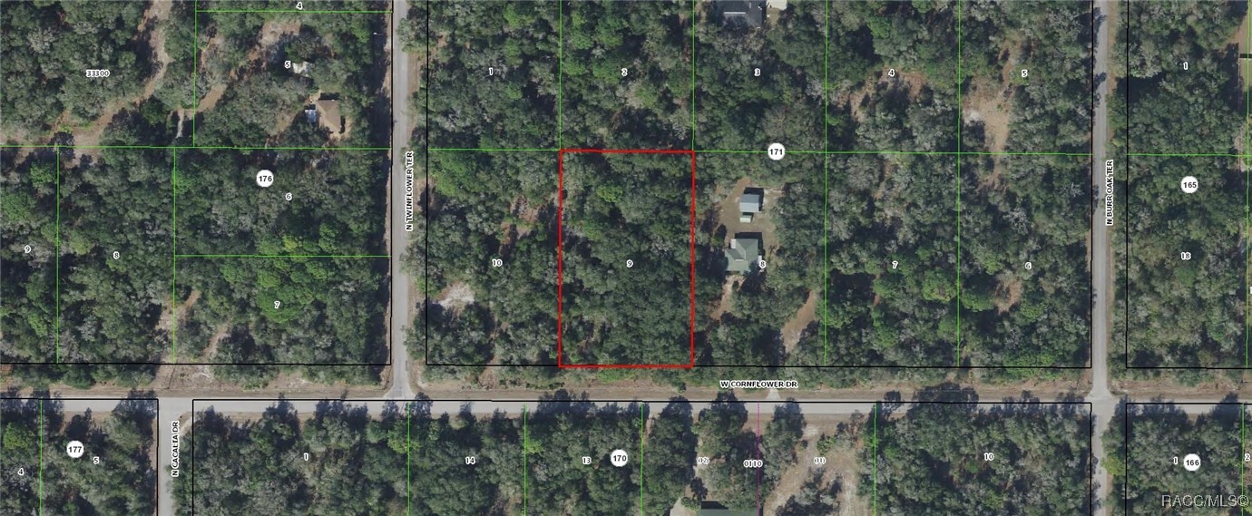 12747 W Cornflower Drive, Crystal River, Florida image 1