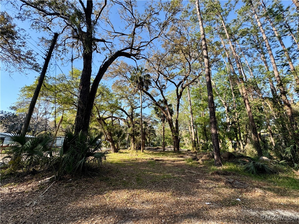 10600 And 10603 W Oliver Street, Homosassa, New York image 3