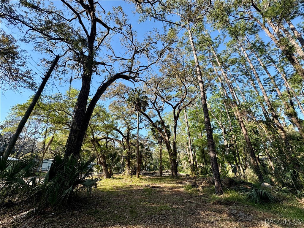 10600 And 10603 W Oliver Street, Homosassa, New York image 2