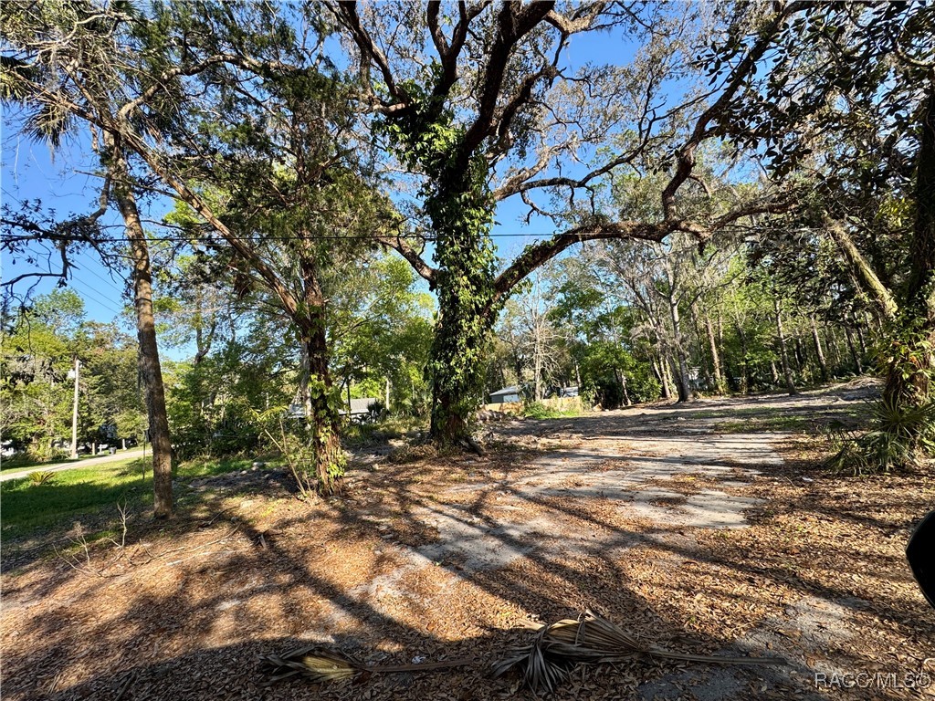 10600 And 10603 W Oliver Street, Homosassa, New York image 5