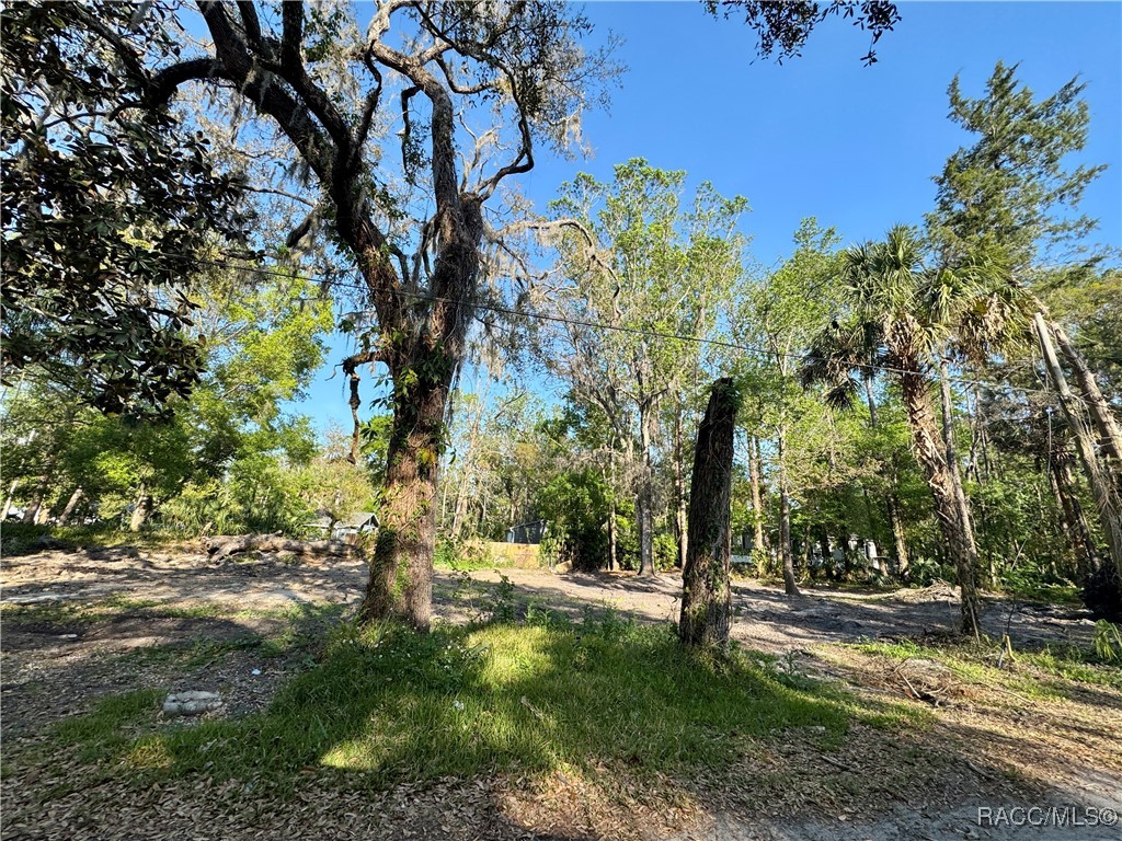 10600 And 10603 W Oliver Street, Homosassa, New York image 4