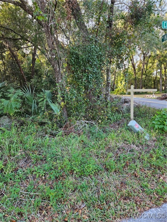 205 W Inverness Boulevard, Inverness, Florida image 1