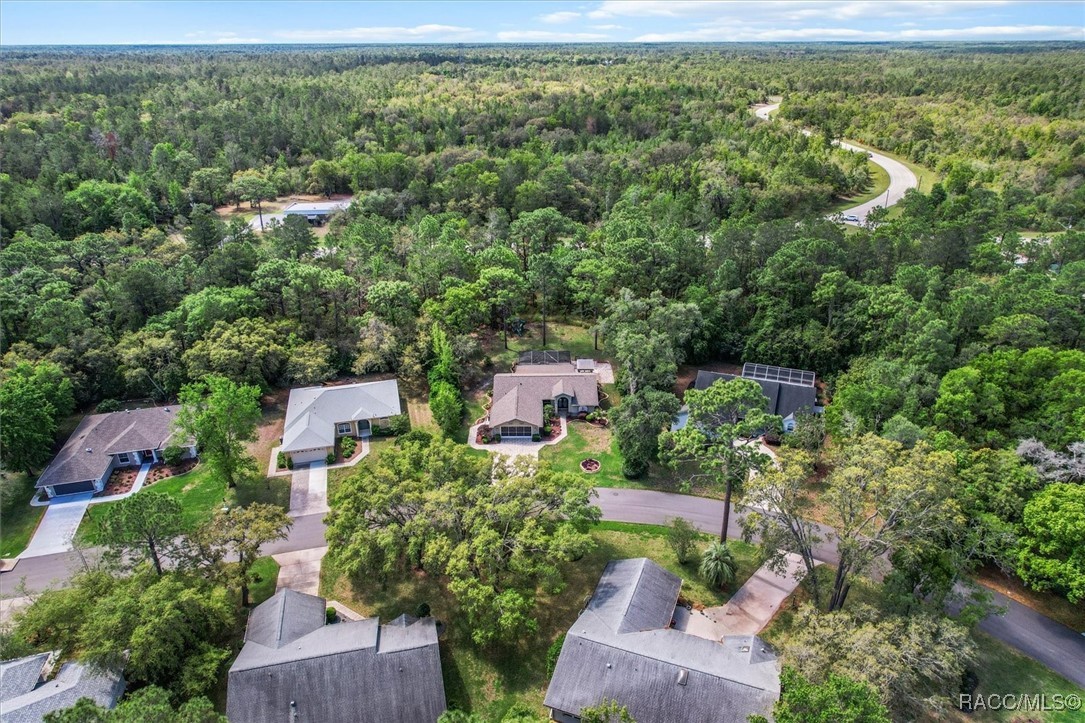 11 Sweetgum Court, Homosassa, Connecticut image 50