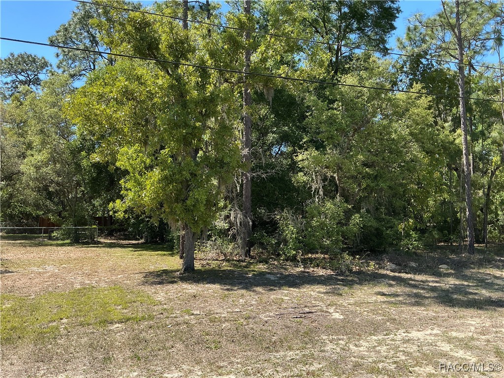 9784 N Country Club Way, Citrus Springs, Florida image 4