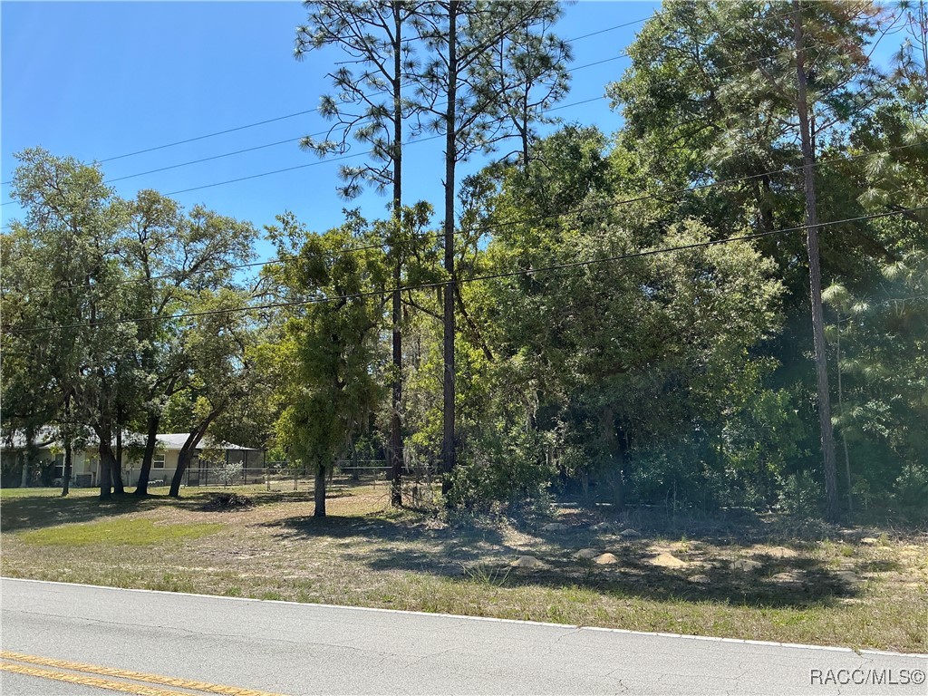 9784 N Country Club Way, Citrus Springs, Florida image 2