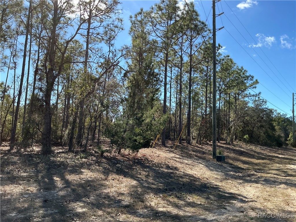 2788 W Deltona Boulevard, Citrus Springs, Florida image 3