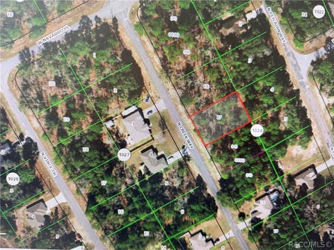 Vacant Land For Sale - 8079 N Creek Way<br/> Citrus County, Citrus Springs, FL 34434