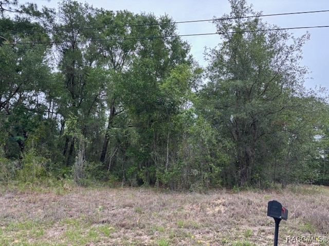 6717 E Gentry Street, Inverness, Florida image 6
