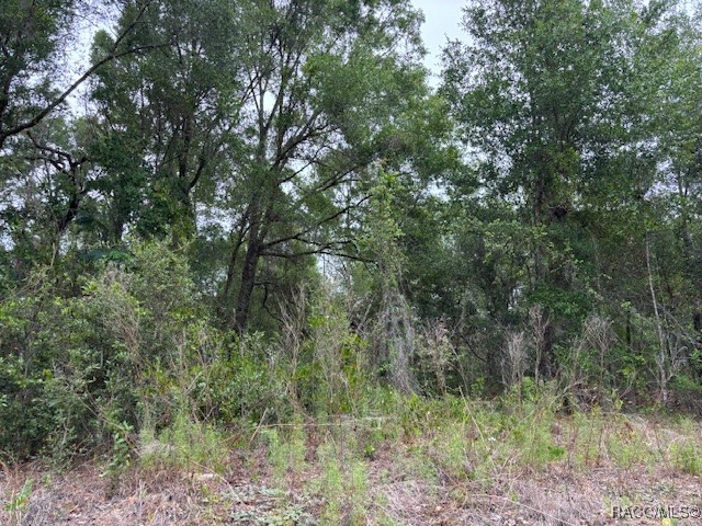 6717 E Gentry Street, Inverness, Florida image 2