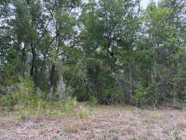 6717 E Gentry Street, Inverness, Florida image 3
